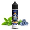 Dr. Fog - Blaubeere Minze - Aroma - 10ml