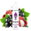 PRIMEVAL - Blackcurrant Lychee - Aroma - 10ml